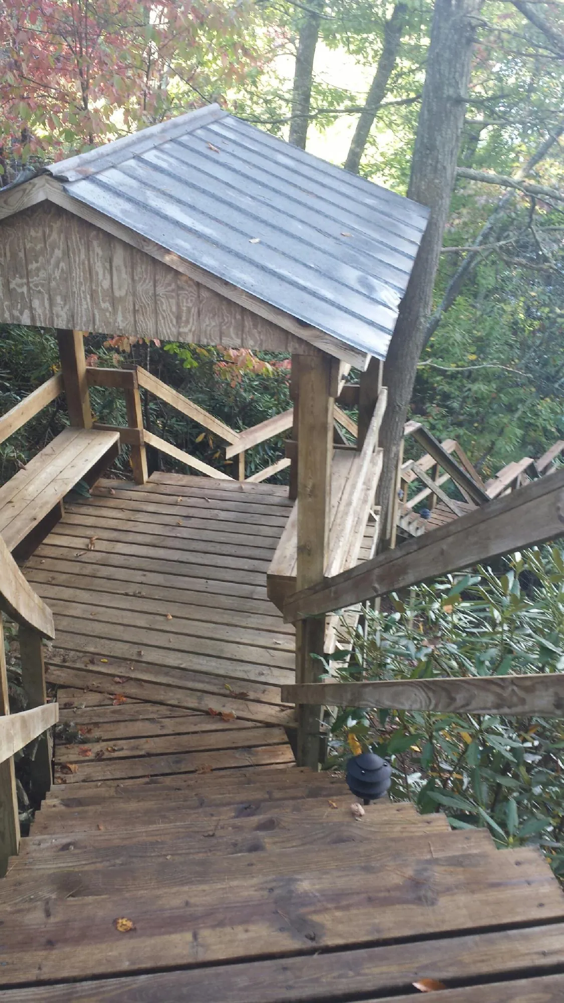 Metal roofed shelter over wooden steps on a wooded walkway — Skylight Repair & Installation work by our crew in Riegelwood